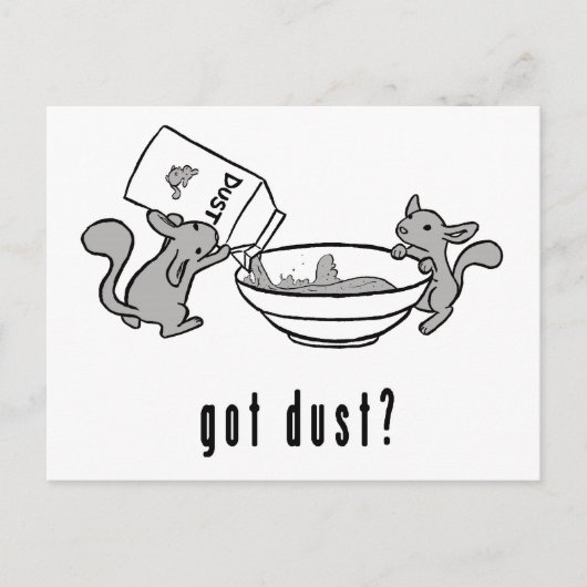 Le chinchilla a obtenu la carte postale de la (Devant)