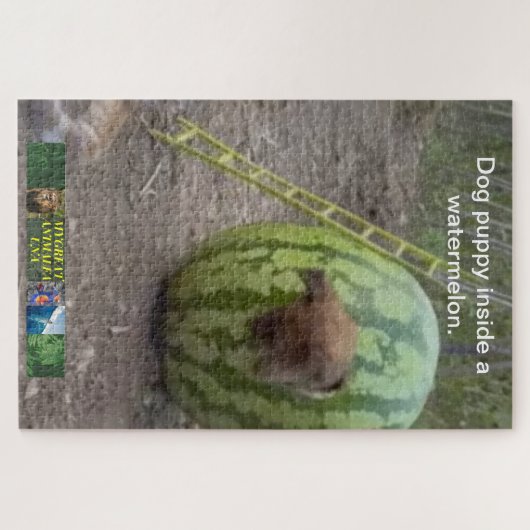 Le chiot à chien dans un puzzle de pastèque. (Horizontal)