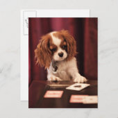 Le chiot joue aux cartes (Devant / Derrière)