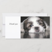 le chiot le plus mignon jamais, Merci (Devant)