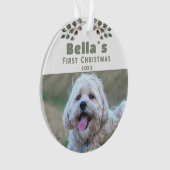 Le chiot mou`s première photo de chien de Noël (devant)