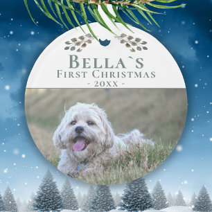 Le chiot mou`s première photo de chien de Noël