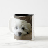 Le chiot observe la tasse faite sur commande (Devant gauche)