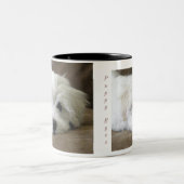 Le chiot observe la tasse faite sur commande (Centre)