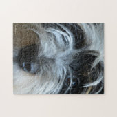 Le chiot observe le puzzle (Horizontal)