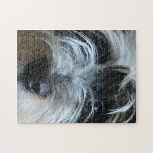 Le chiot observe le puzzle (Horizontal)