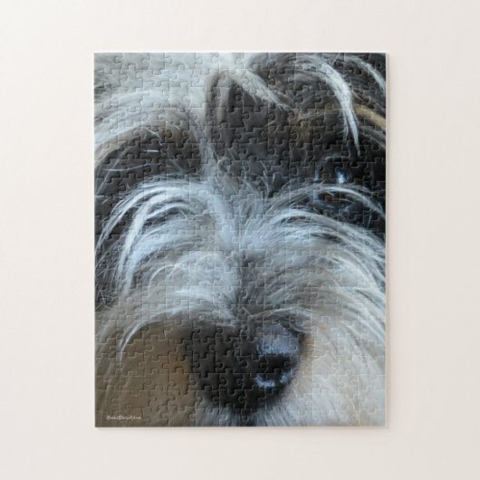Le chiot observe le puzzle (Vertical)