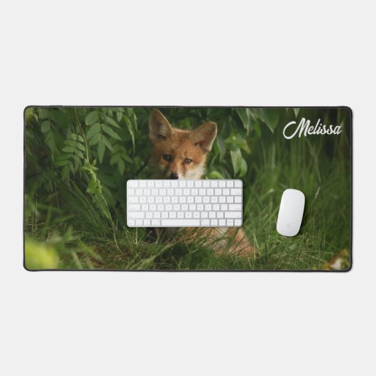 Le chou renard dans une forêt verte (Clavier et souris)