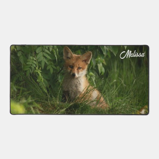 Le chou renard dans une forêt verte (Recto)