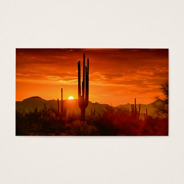 Le ciel du sud-ouest d'or (Devant)