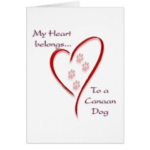 Le Coeur de Chien du Canada appartient