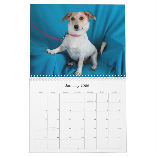 Le coffre-fort remet le calendrier 2015 (Jan 2026)