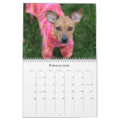 Le coffre-fort remet le calendrier 2015 (Feb 2026)