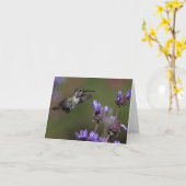 Le colibri de la côte - Joe Sweeney - carte (Fleur jaune)