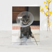 Le Cône De La Honte Obtenir Bonne Carte (Fleur jaune)