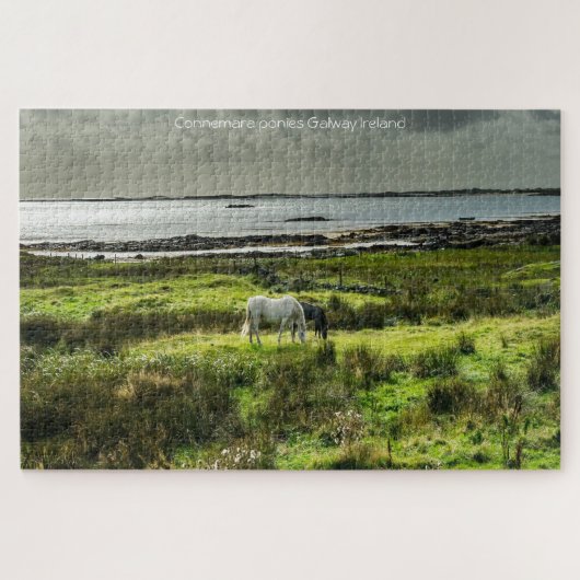 Le Connemara poney Galway Irlande. Jigsaw Puzzle (Horizontal)