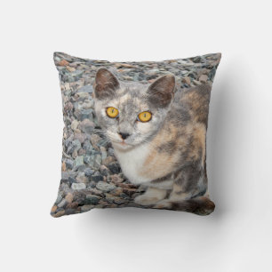 Le Coque Coussin de chat