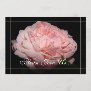 Le corail s'est levé des invitations de