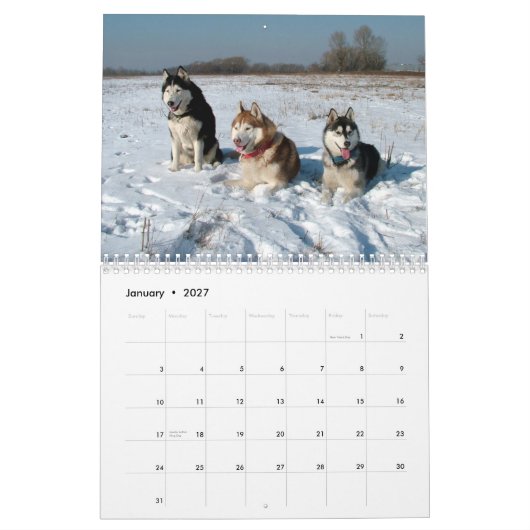 Le costaud sibérien poursuit le calendrier mural (Jan 2027)
