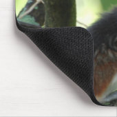 Le coton a complété le tapis de souris de Tamarin (Coin)