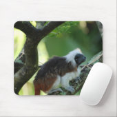 Le coton a complété le tapis de souris de Tamarin (Avec souris)