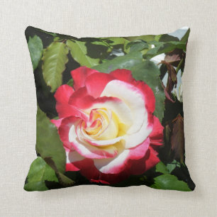 Le coussin avec le rouge a incliné l'île