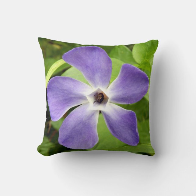 Le Coussin de Lancement de la Grande Pervenche (Recto)