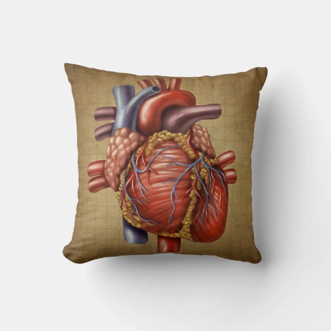 Le coussin humain de coeur (Recto)
