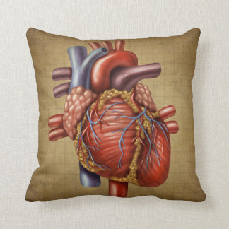 Le coussin humain de coeur