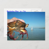 Le crabe et le voilier, carte postale (Devant / Derrière)