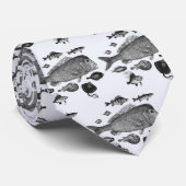 Le Cravate du pêcheur (Roulé)