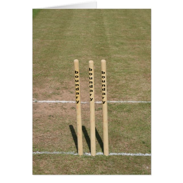 Le cricket a rectifié chez Bickleigh, Devon, R-U (Devant)