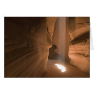 Le Croustillant dans le canyon de l'Upper Antelope