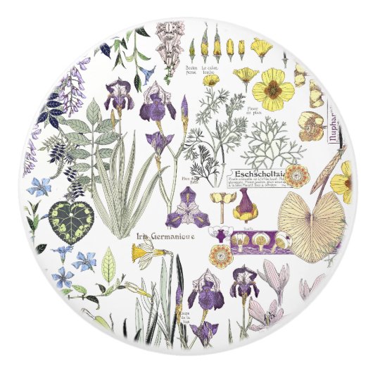 Le cru français de Nouveau d'art fleurit le bouton (Devant)