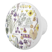 Le cru français de Nouveau d'art fleurit le bouton (Droite)