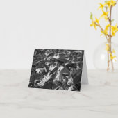 Le Cuba a capturé la carte de note (Fleur jaune)