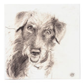 Le cube commémoratif en photo d'animaux familiers (Devant)