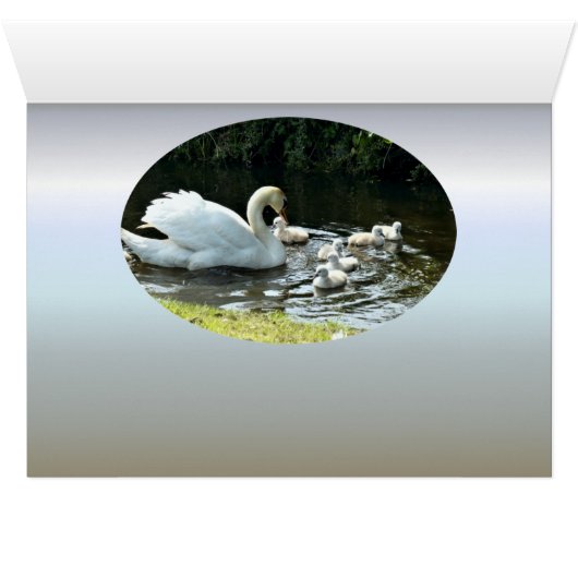 Le cygne blanc avec les pousses (Intérieur Horizontal (Bas))