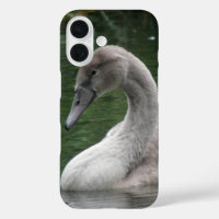 Le cygne gracieux sur le coque iphone d'eau