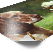 Le cynique et le philosophe photo (Coin)