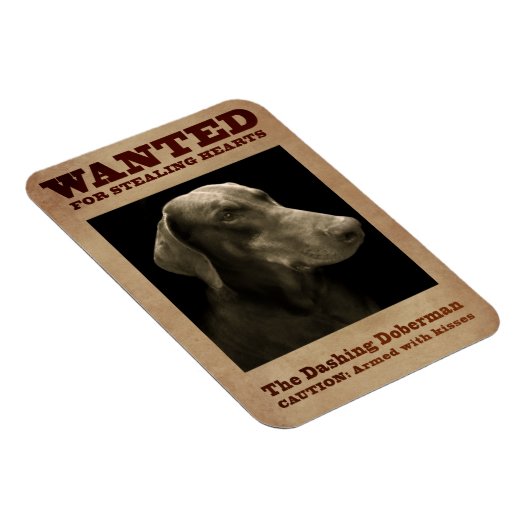 Le Dashing Doberman Magnet (Côté Droit)