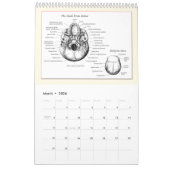 Le DEM désosse le calendrier (Mar 2026)