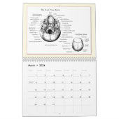 Le DEM désosse le calendrier (Mar 2026)