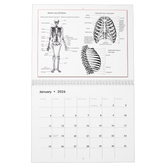 Le DEM désosse le calendrier (Jan 2026)