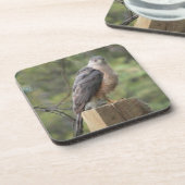 Le Dessous de verre Hawk de Cooper (Côté gauche)