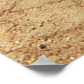 Le diable de Tasmanie pose pour un poster photo (Coin)