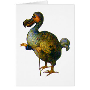 Le Dodo Bird