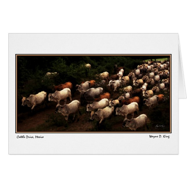 Le Drive Home, Mexique (Devant horizontal)