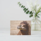 Le dromadaire - Carte de visite (Debout devant)