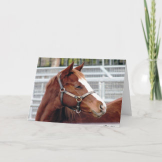 Le "élevage à part ne change pas…" Carte d'amitié